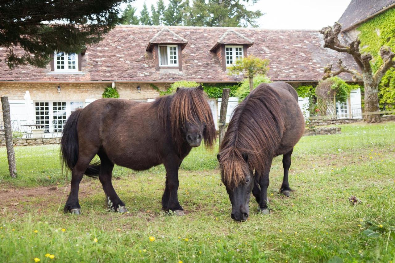 Hotel La Metairie - Teritoria- Les Collectionneurs Mauzac-et-Grand-Castang Zewnętrze zdjęcie